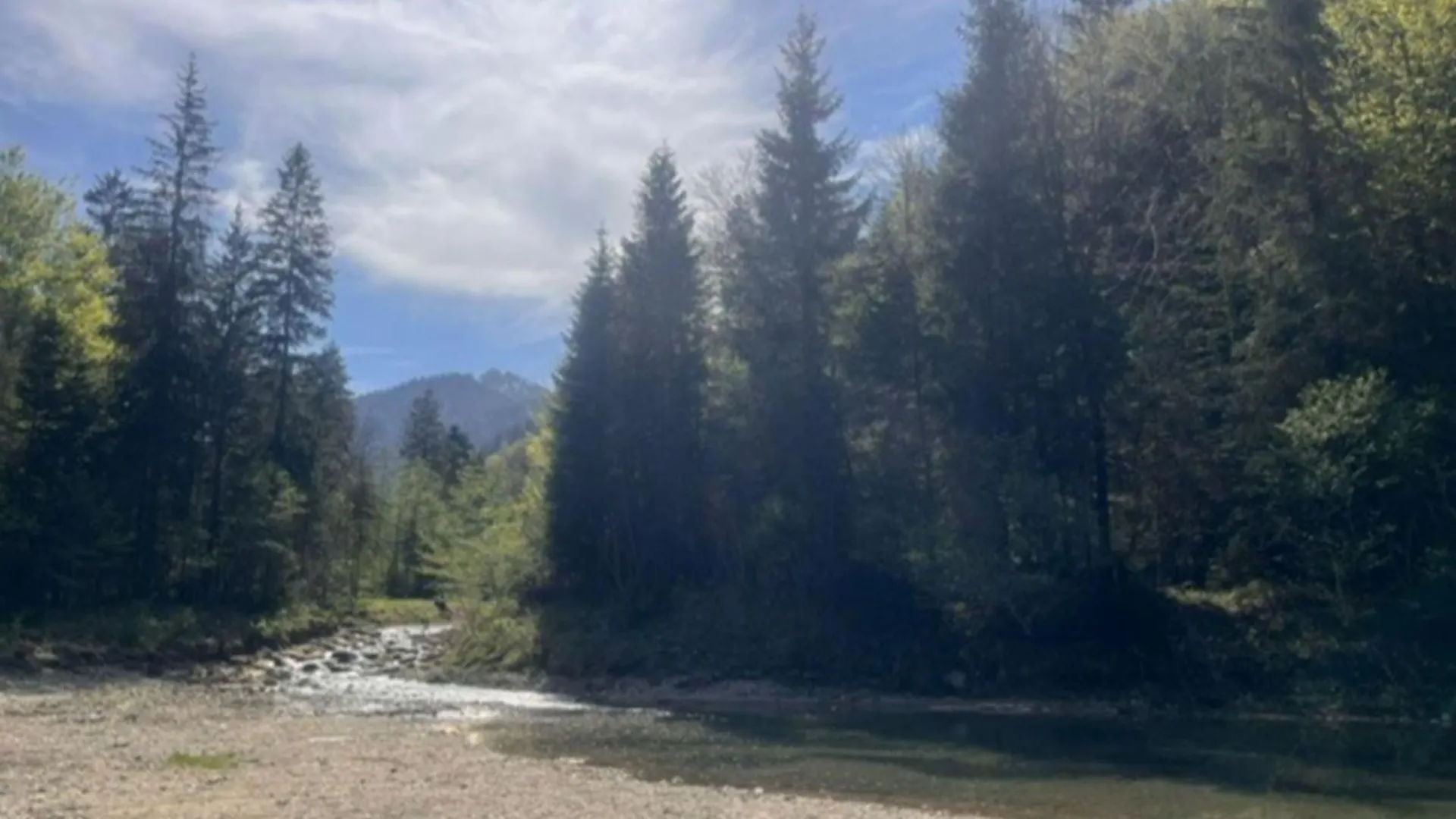 Alpen View Apartment Grassau